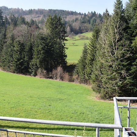 Ferienwohnung Im Dettenbachtal Waldkirch Exterior photo