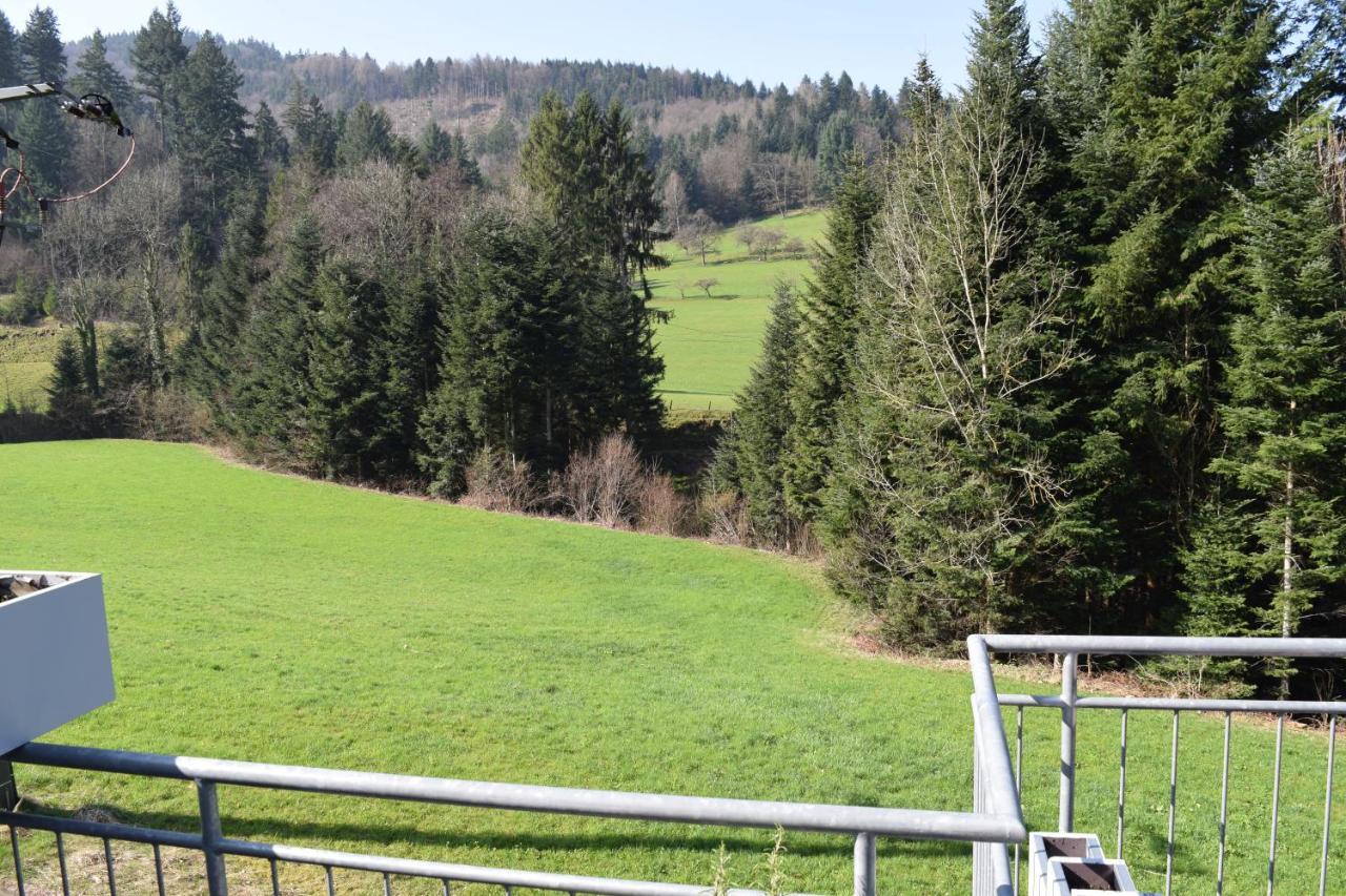 Ferienwohnung Im Dettenbachtal Waldkirch Exterior photo