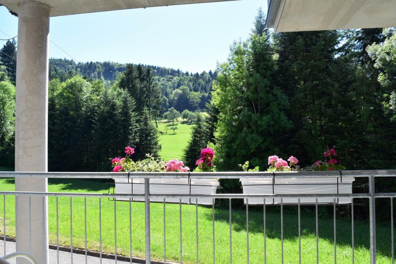 Ferienwohnung Im Dettenbachtal Waldkirch Exterior photo