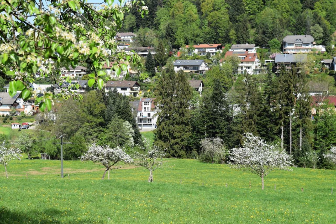 Ferienwohnung Im Dettenbachtal Waldkirch Exterior photo