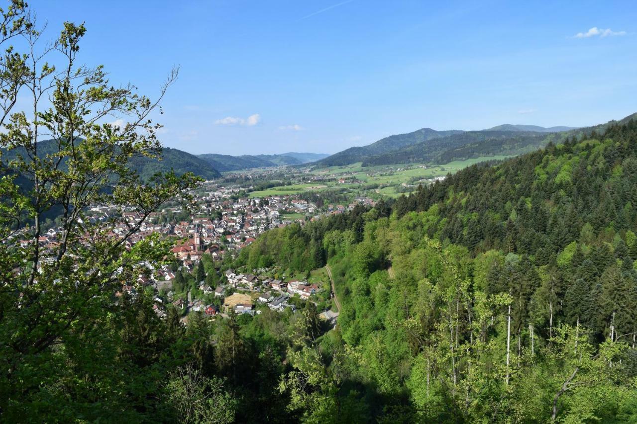 Ferienwohnung Im Dettenbachtal Waldkirch Exterior photo