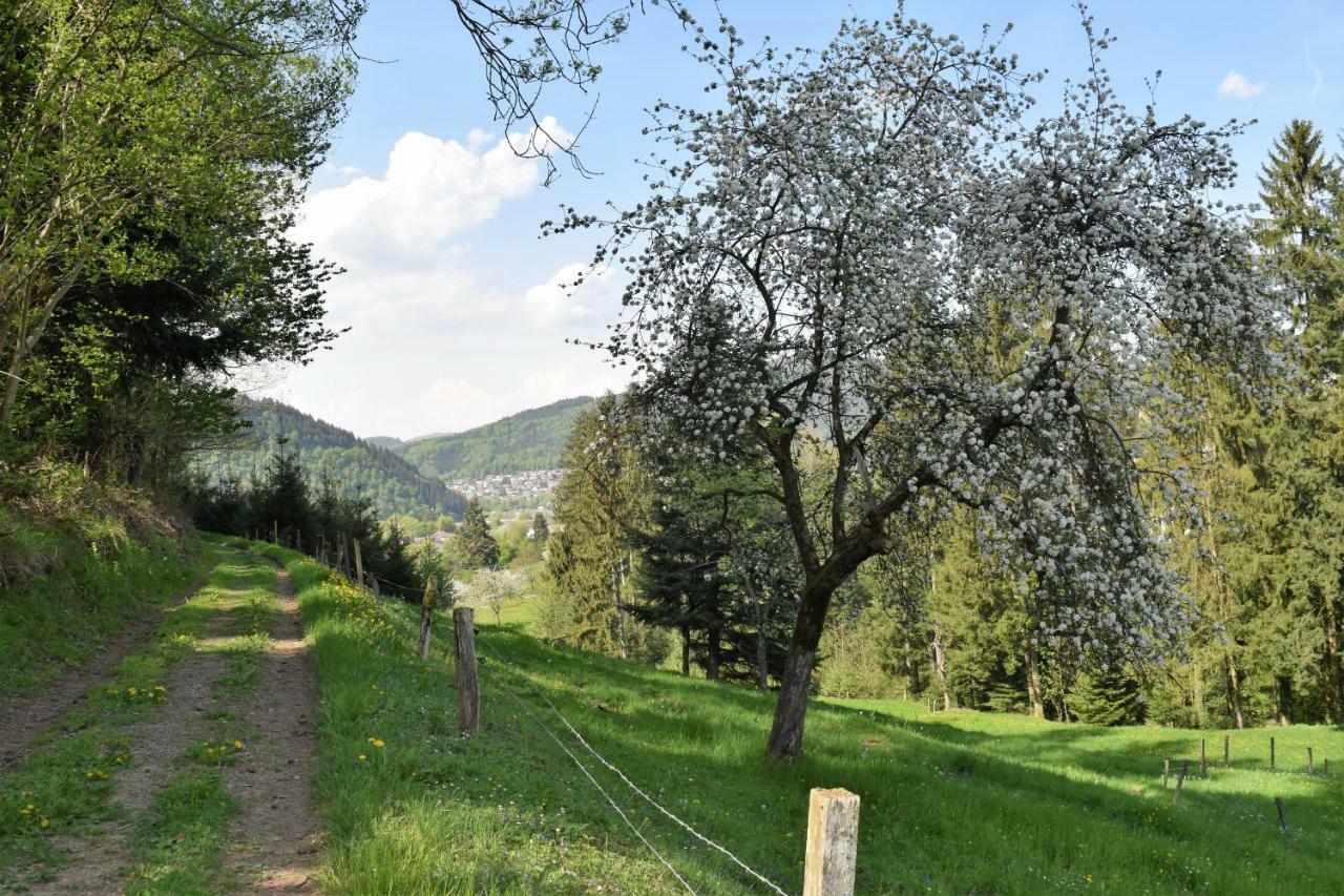 Ferienwohnung Im Dettenbachtal Waldkirch Exterior photo