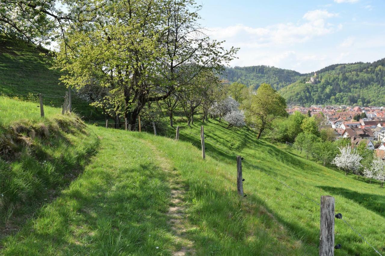 Ferienwohnung Im Dettenbachtal Waldkirch Exterior photo